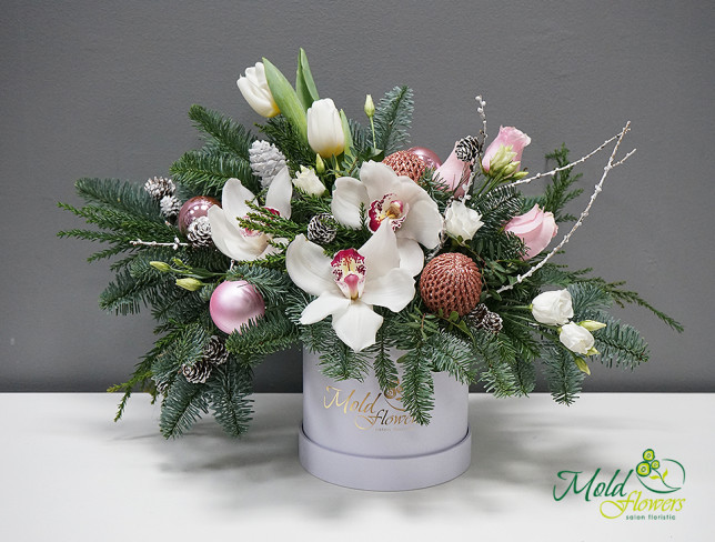 Рождественская коробка с белыми орхидеями Фото
